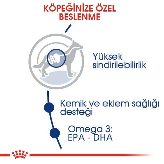 Royal Canin Maxi Büyük Irk Yetişkin Köpek Maması 15kg