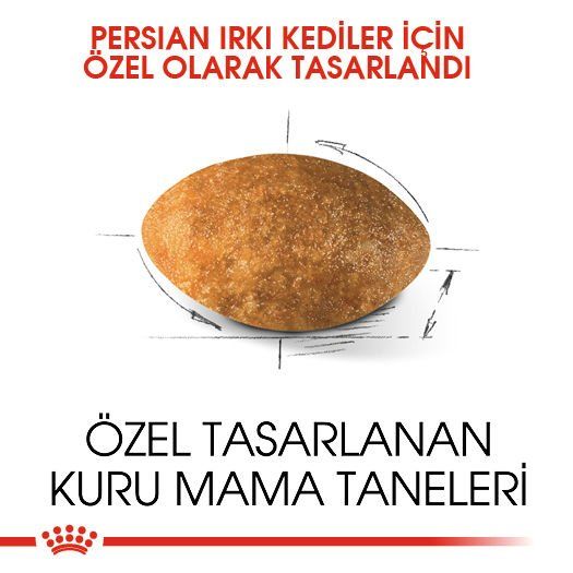Royal Canin Persian Yetişkin Kedi Maması 2 Kg