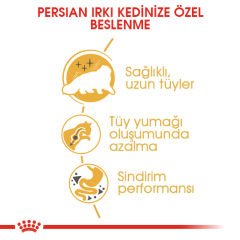 Royal Canin Persian Yetişkin Kedi Maması 2 Kg