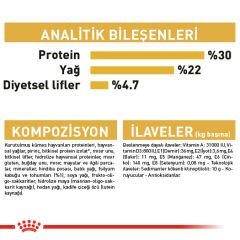 Royal Canin Persian Yetişkin Kedi Maması 2 Kg