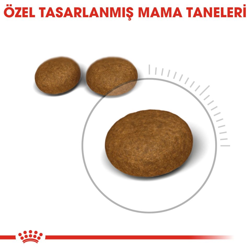 Royal Canin Hair&Skin Hassas Tüylü Kedi Maması 2kg