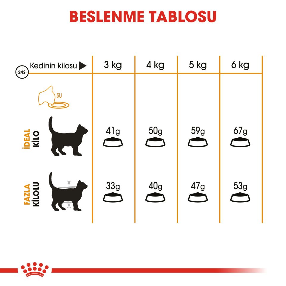 Royal Canin Hair&Skin Hassas Tüylü Kedi Maması 2kg
