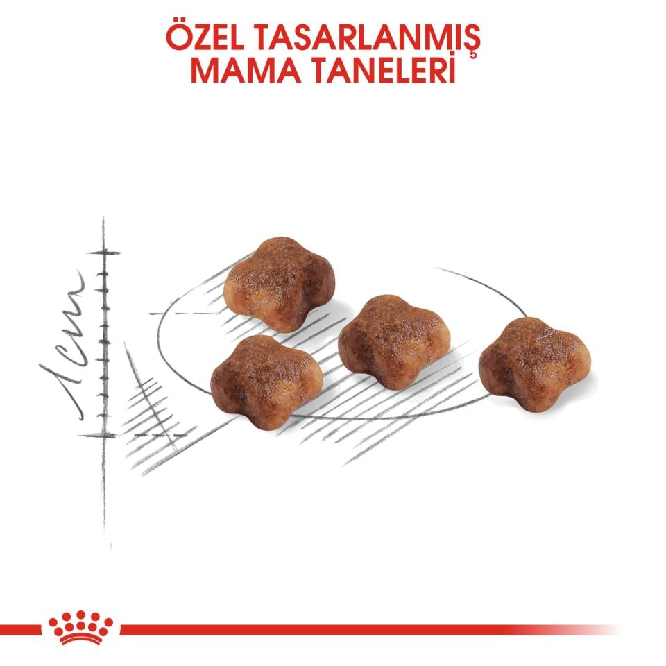 Royal Canin Mother Babycat Anne ve Yavru Kedi Maması 2 Kg