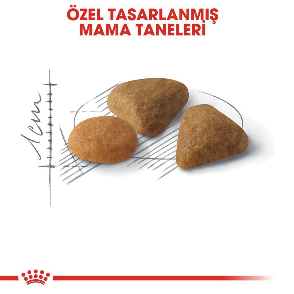 Royal Canin Savour Exigent Hassas Seçici Kediler İçin Kedi Maması 2 Kg