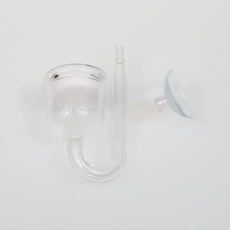 Jbl Proflora Co2 Taıfun Glass Mını