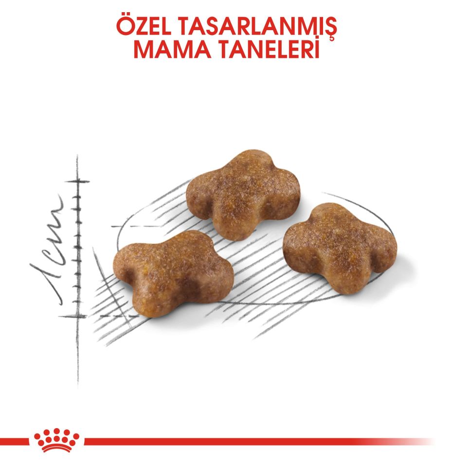 Royal Canin Kitten Yavru Kedi Maması 2 Kg + Dr. Clauder's Anne ve Yavru Kediler İçin Enerji Macunu 100 Gr(HEDİYE!)