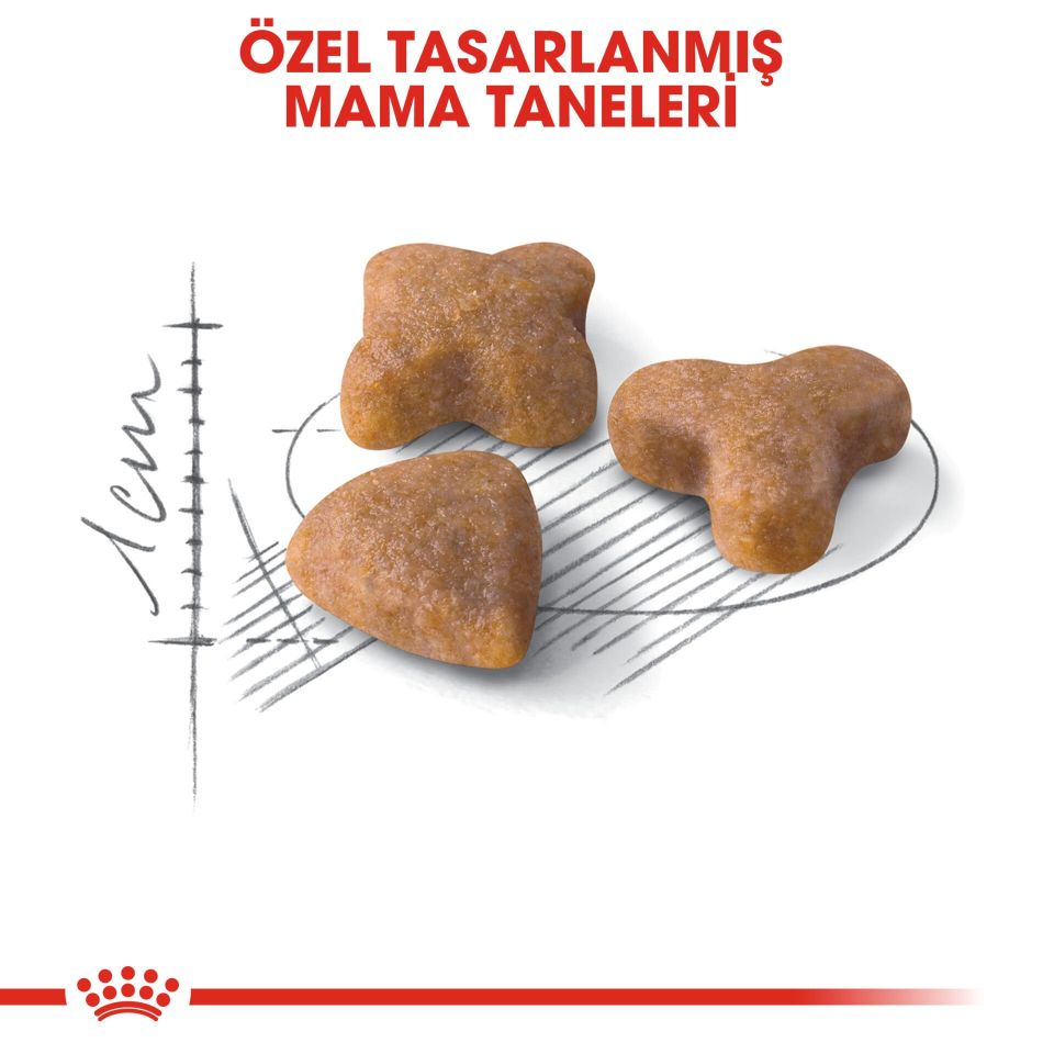 Royal Canin Sensible 33 Hassas Sindirimli Kediler İcin Kedi Maması 15 Kg