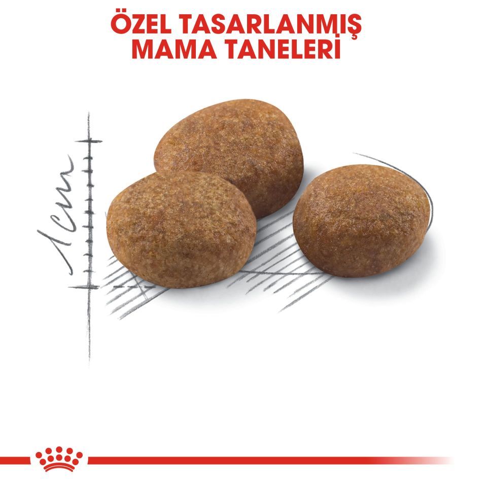 Royal Canin Sterilised +7 Kısırlaştırılmış Kedi Maması 3.5 Kg