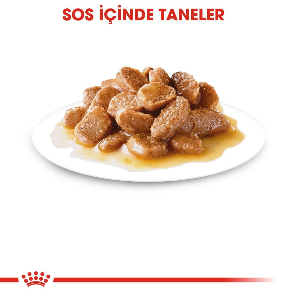 Royal Canin Mini Yetişkin Küçük Irk Yetişkin Köpek Konserve Mama 85 Gr