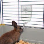 Imac Bıbber 400 Ml Suluk