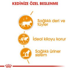 Royal Canin Intense Beauty In Gravy Kedi Konserve Maması 85 Gr
