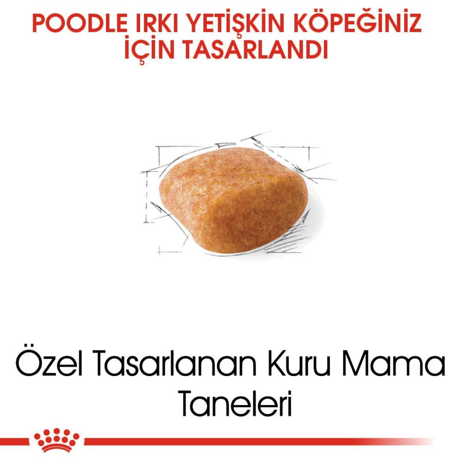 Royal Canin Poodle Yetişkin Köpek Maması 3 Kg