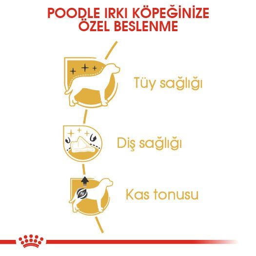 Royal Canin Poodle Yetişkin Köpek Maması 3 Kg