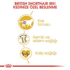 Royal Canin British Shorthair Özel Kedi Maması 4 Kg