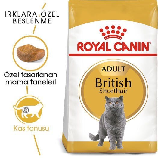 Royal Canin British Shorthair Özel Kedi Maması 4 Kg