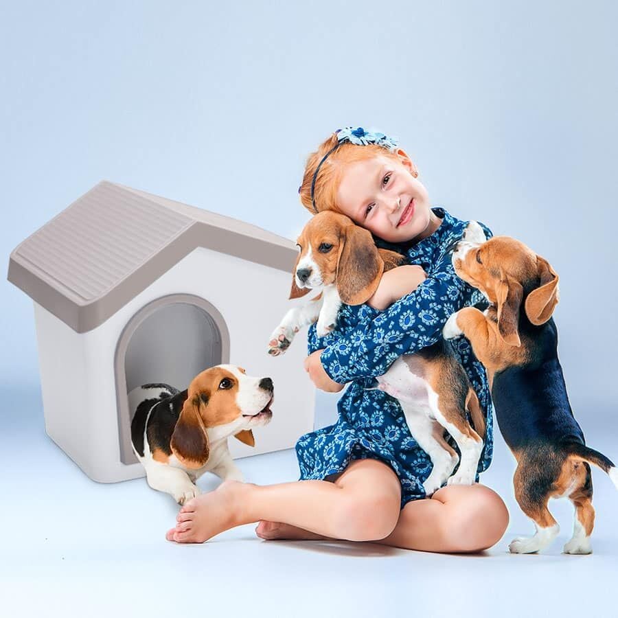 Imac Zeus 50 Evcil Hayvan Evi Bej/beyaz 53x46x47,6cm