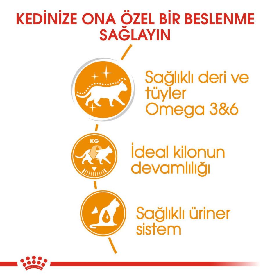 Royal Canin Intense Beauty In Jelly Kedi Konserve Maması 85 Gr