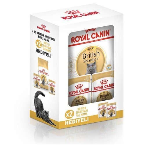 Royal Canin Box British Shorthair Kedi Maması 2 Kg + 2 Adet Royal Canin Yaş Mama Hediyeli