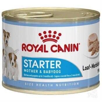 Royal Canin Starter Anne ve Yavru Köpek Konserve Maması 195gr
