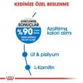 Royal Canin Light Weight Diyet Kedi Maması 1,5kg