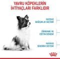 Royal Canin X-Small Küçük Irk Yavru Köpek Maması 3 kg