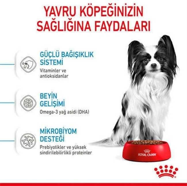 Royal Canin X-Small Küçük Irk Yavru Köpek Maması 3 kg