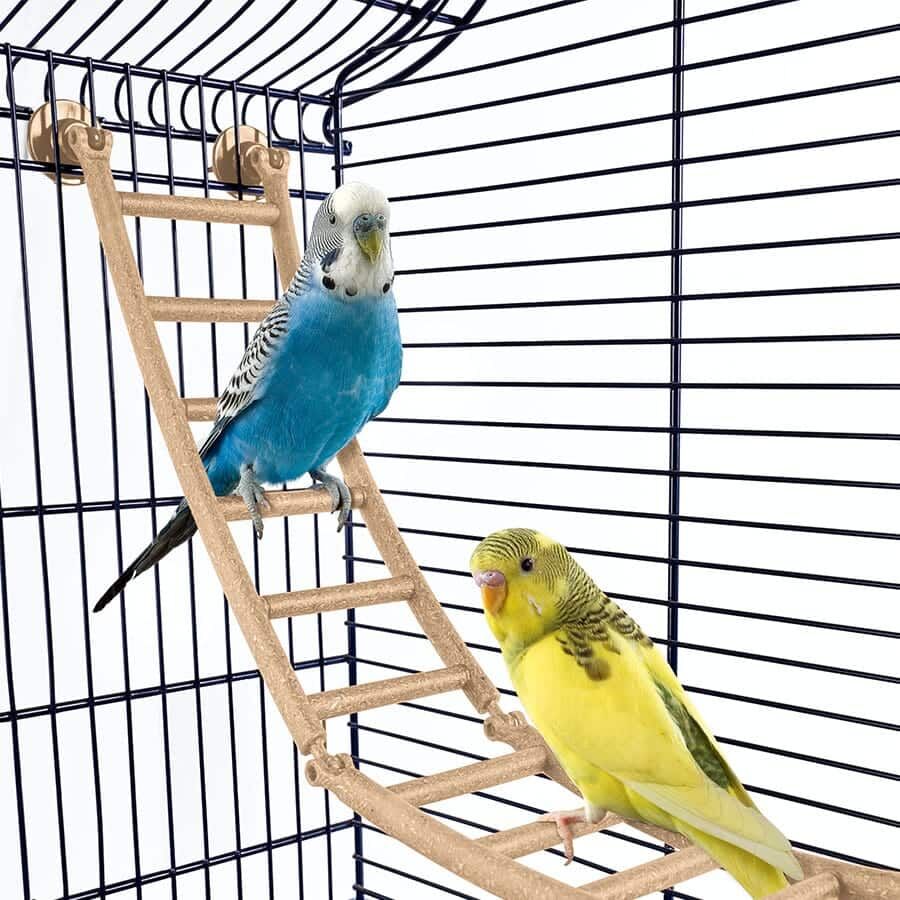 Imac Andorra Bombeli Kuş Kafesi Morcivert 61x38x76cm