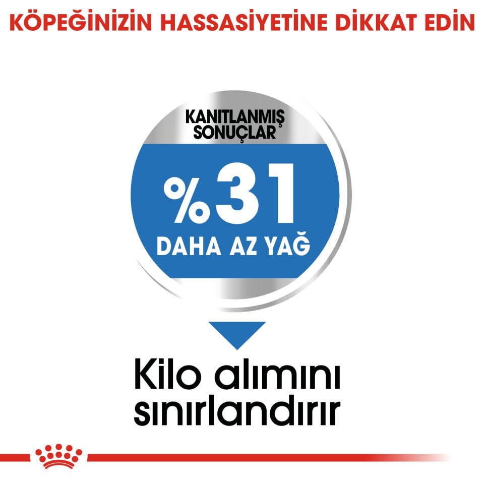 Royal Canin Light Weight Care Mini Yetişkin Köpek Maması 3kg