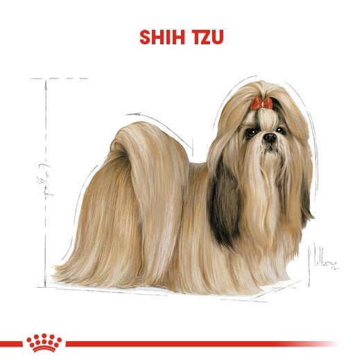 Royal Canin Shih Tzu Yetişkin Köpek Maması 1,5 kg