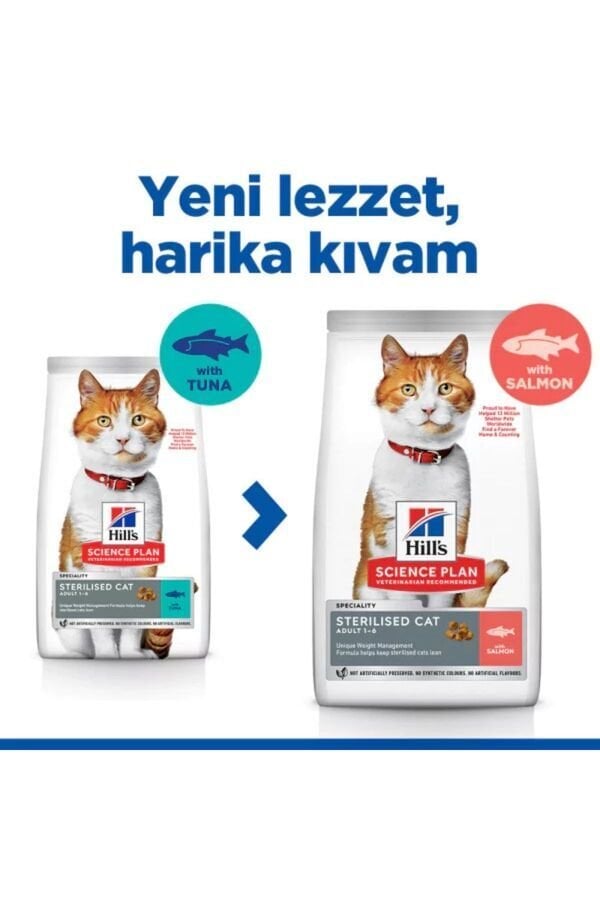 Hill's SP Somon Kısırlaştırılmış Yetişkin Kedi Maması 3 KG