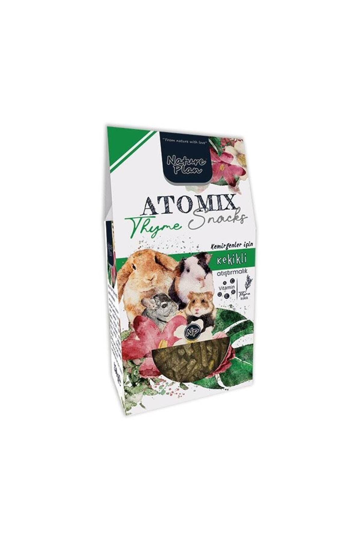 Nature Plan Atomix Snacks Thyme (Kekikli) 250 G