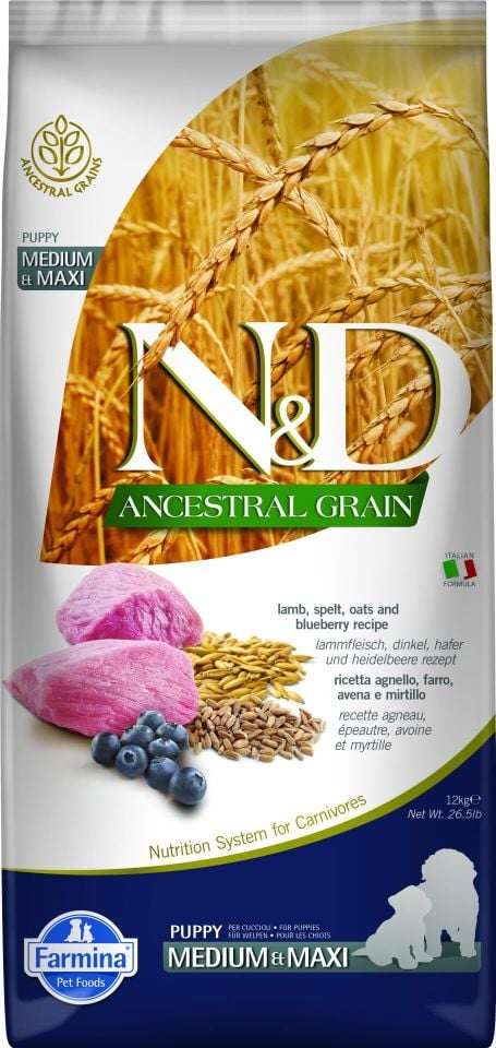 N&D Kuzu Etli Yaban Mersinli Orta ve Büyük Irk Az Tahıllı Yavru Köpek Maması 12kg