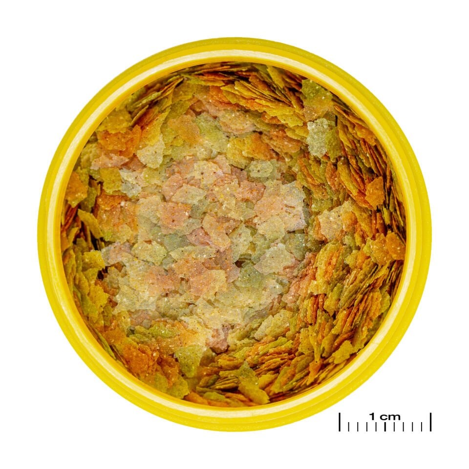 Jbl Pronovo Betta Flakes S 100ml