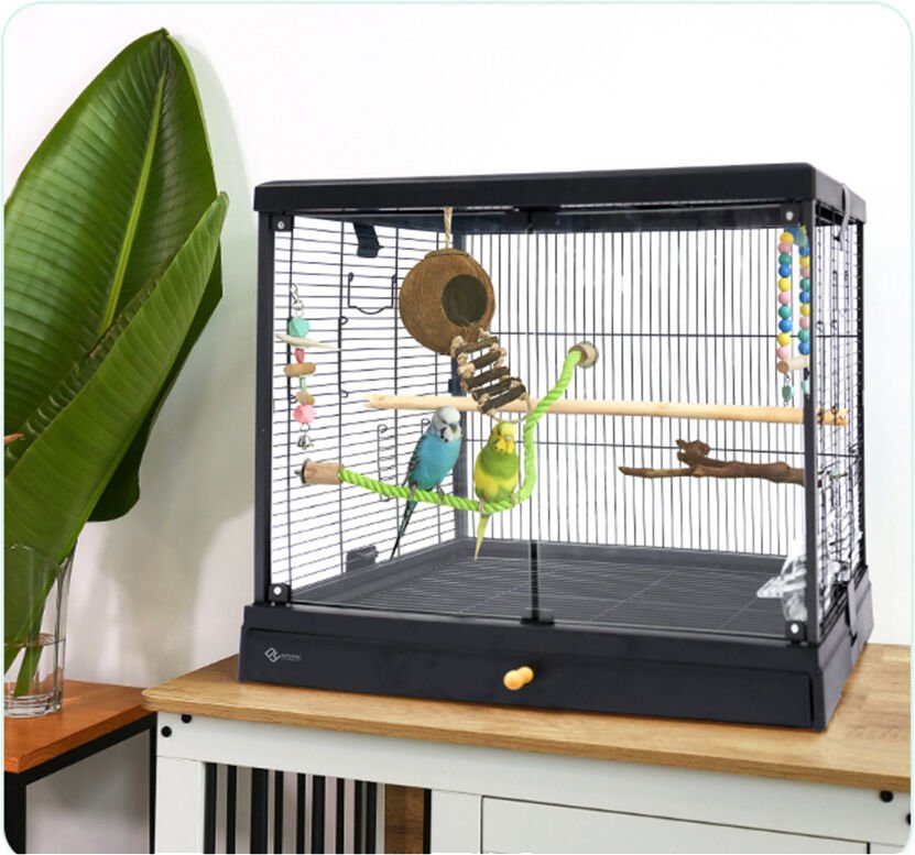 Dayang Üstten Açılır Cam Kafes 62*42*55cm Siyah