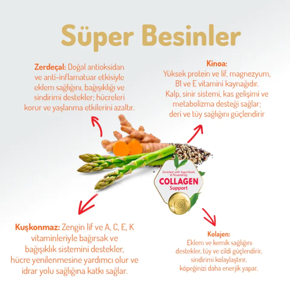 Felicia Yetişkin Somonlu M/Large Az Tahıllı Kuru Köpek Maması 3 Kg