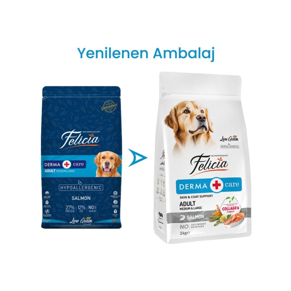 Felicia Yetişkin Somonlu M/Large Az Tahıllı Kuru Köpek Maması 3 Kg