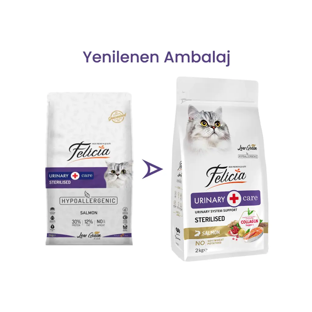 Felicia Sterilised Somonlu Az Tahıllı Kuru Kedi Maması 2 Kg