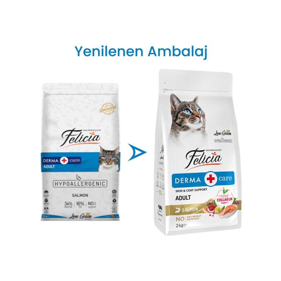 Felicia Yetişkin Somonlu Az Tahıllı Kuru Kedi Maması 2 Kg