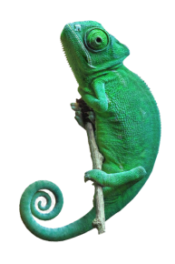 Sürüngenler