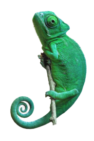 Sürüngenler